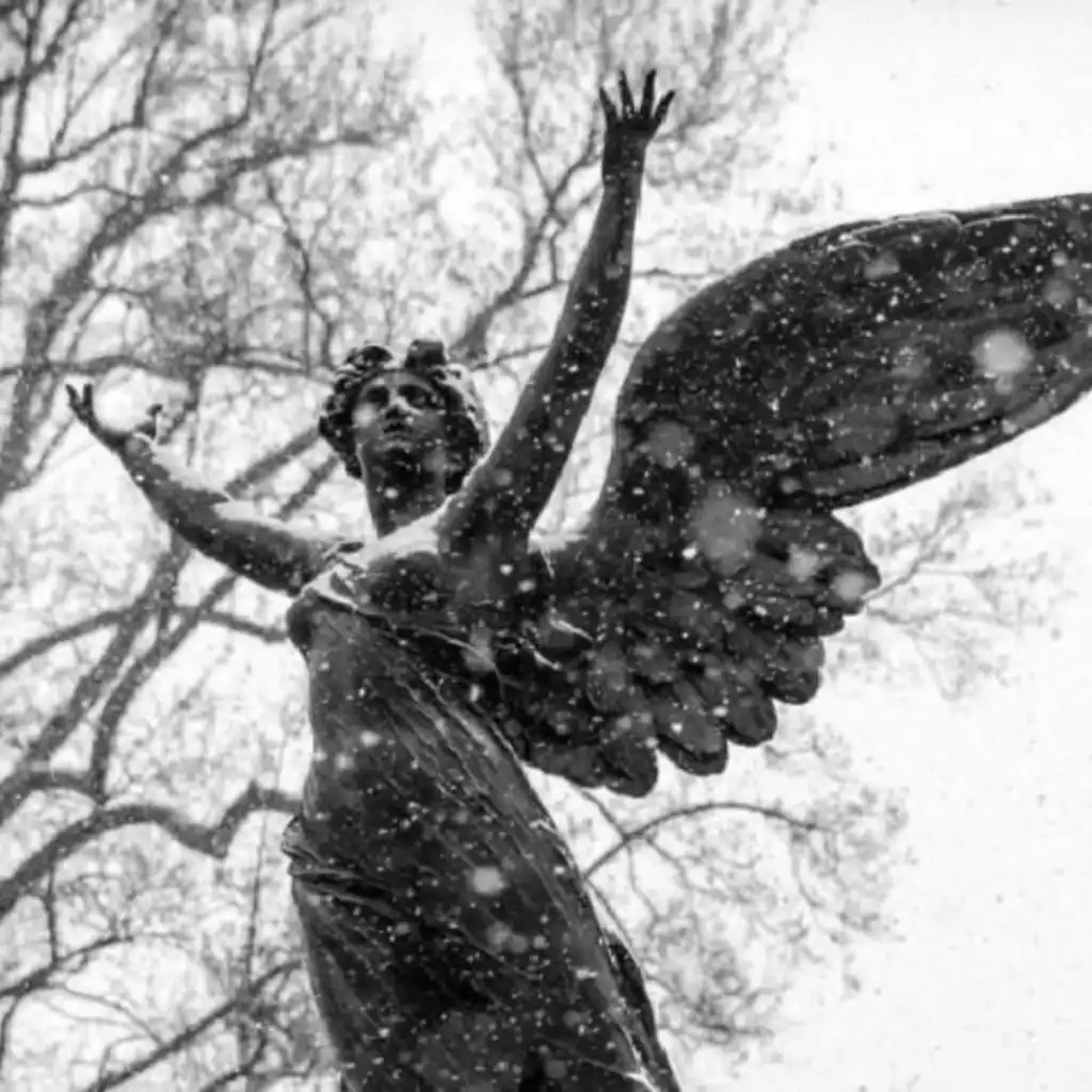 artist-header-image