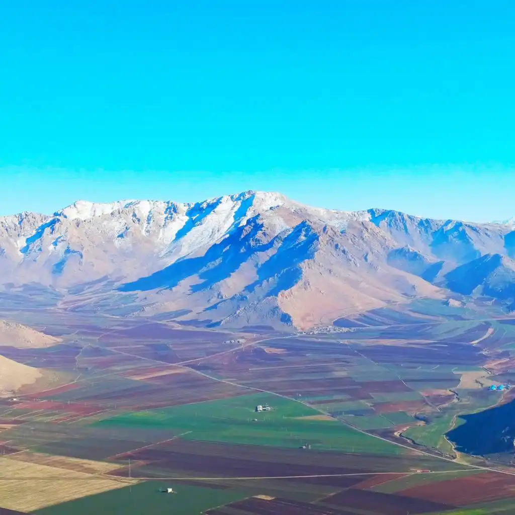 header-image