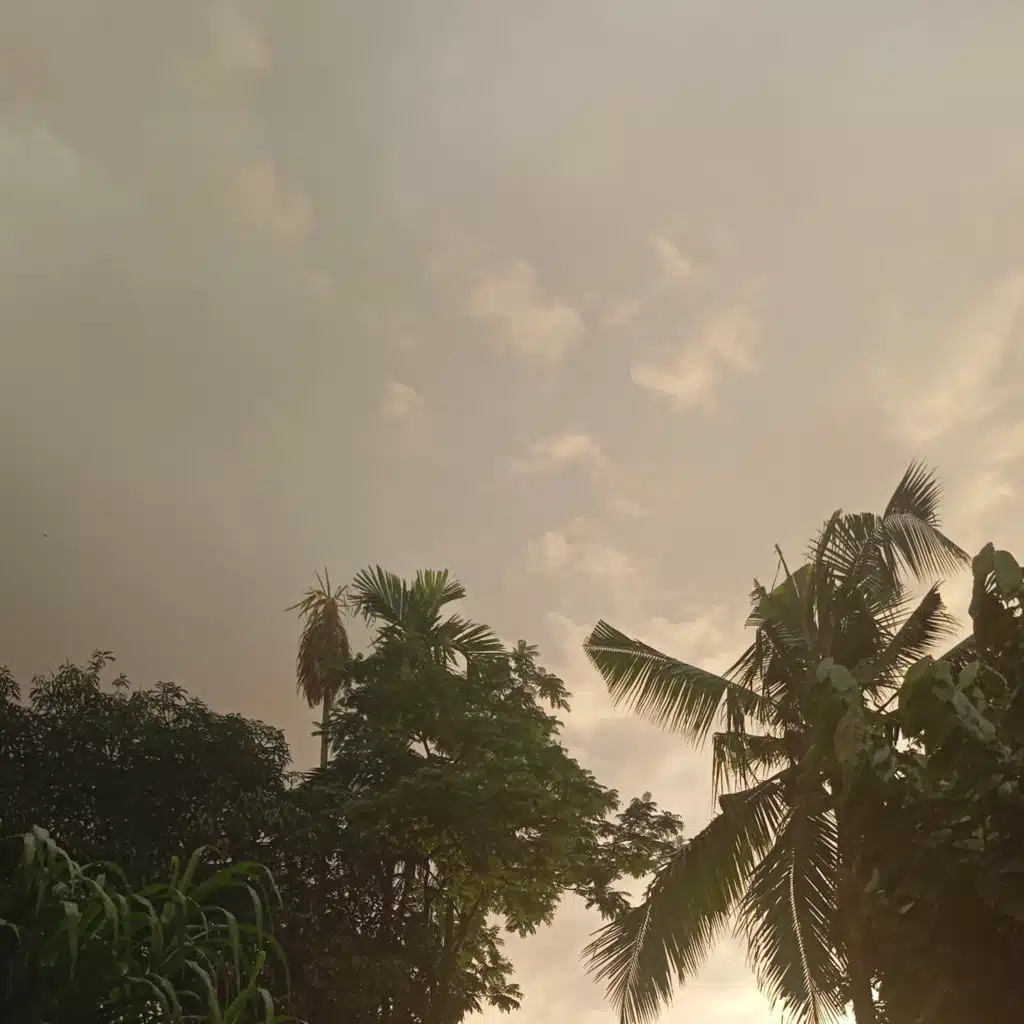 header-image