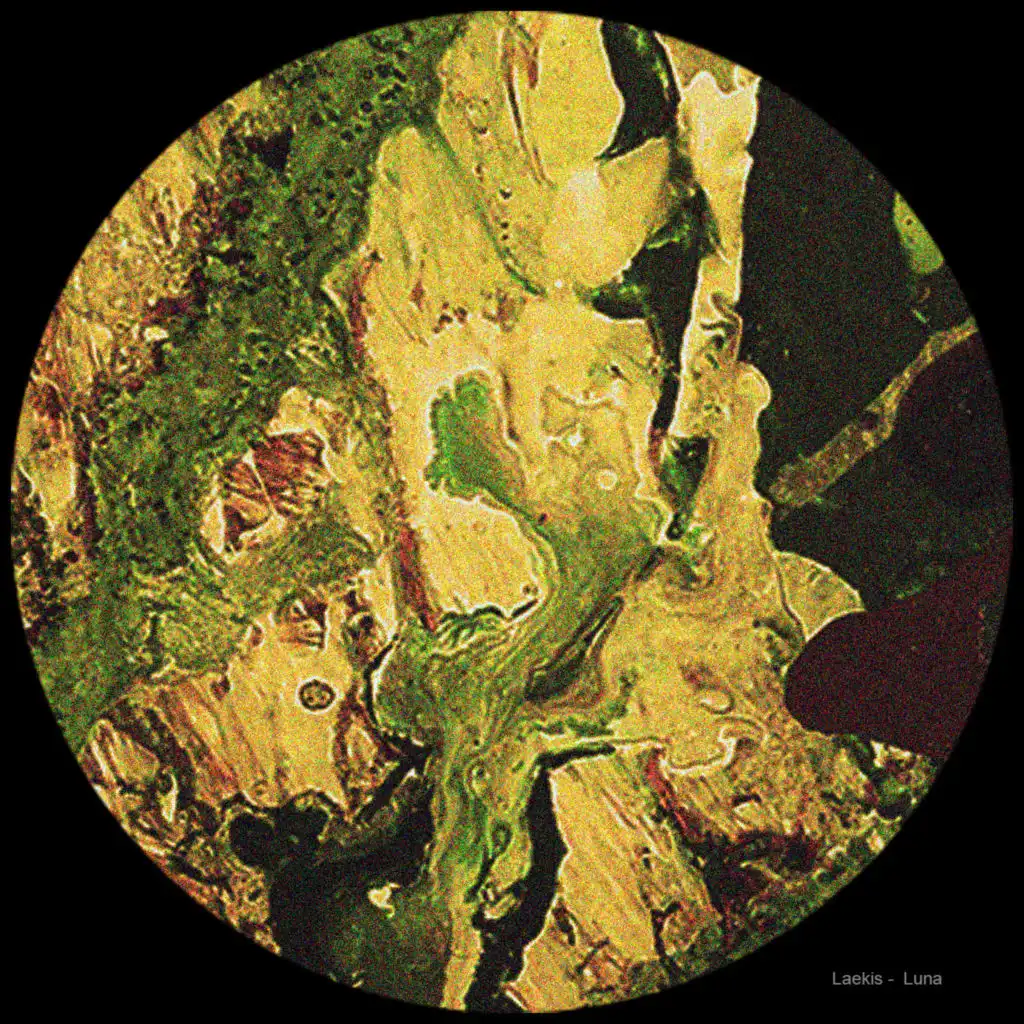 artist-header-image