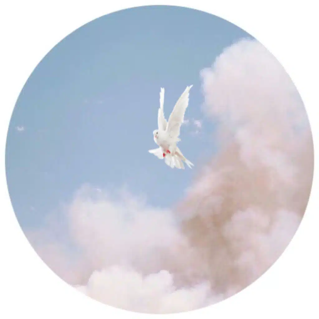 artist-header-image