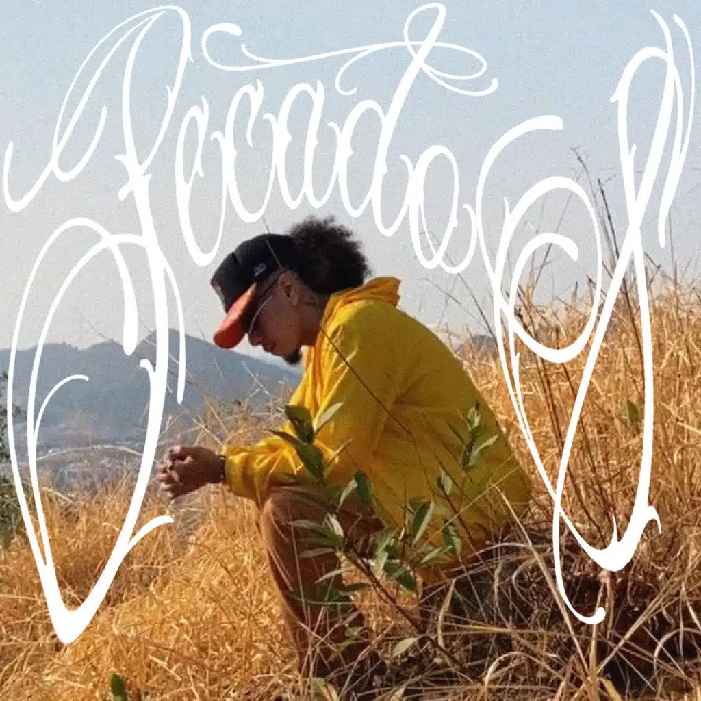 artist-header-image