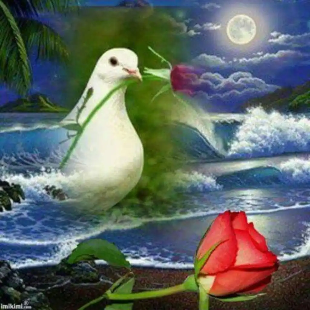 artist-header-image