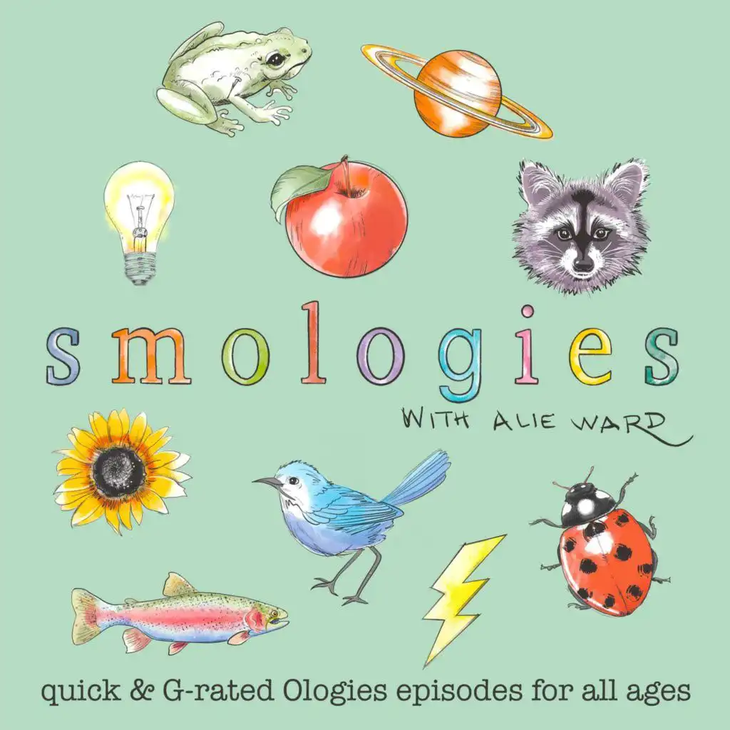 episode-header-image