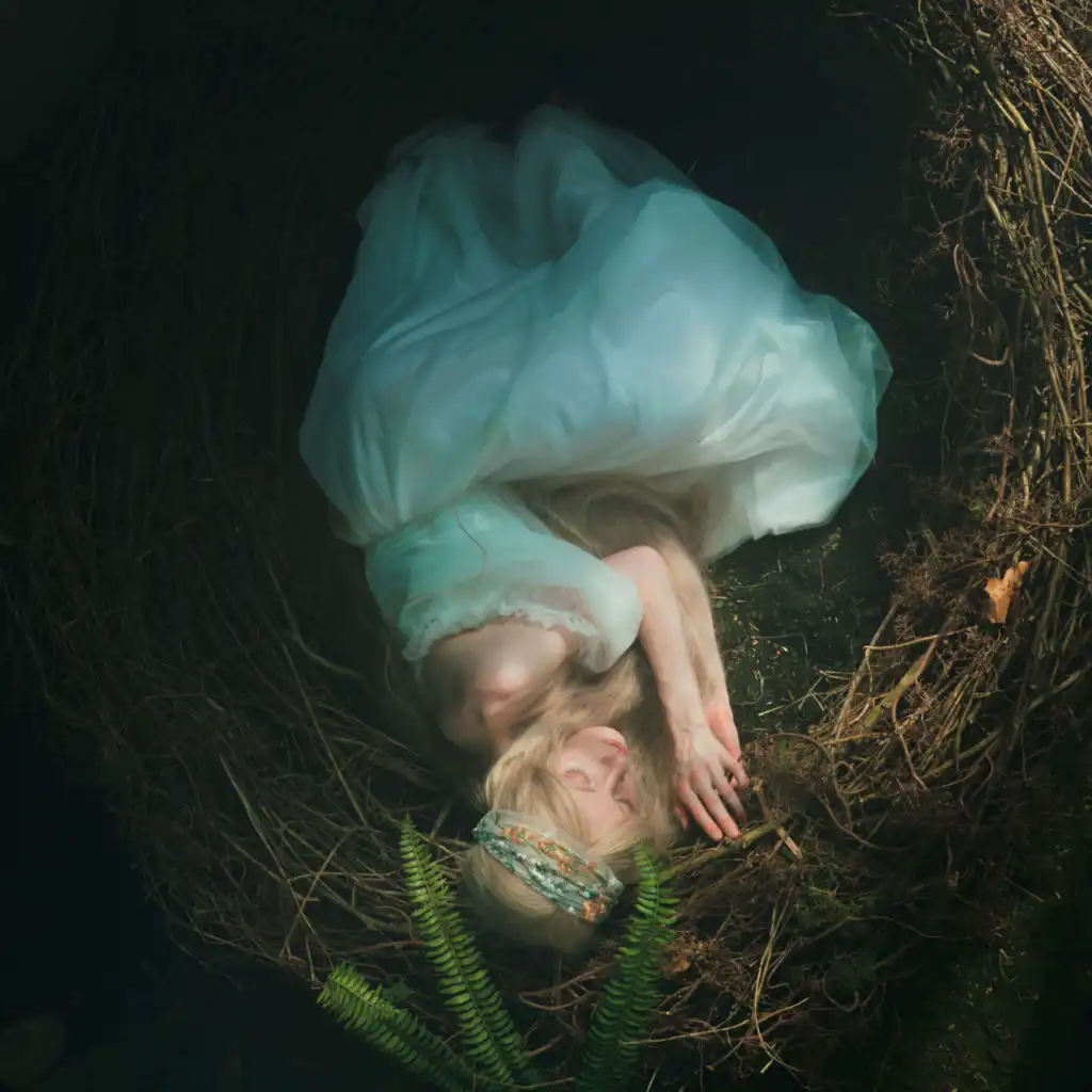 artist-header-image