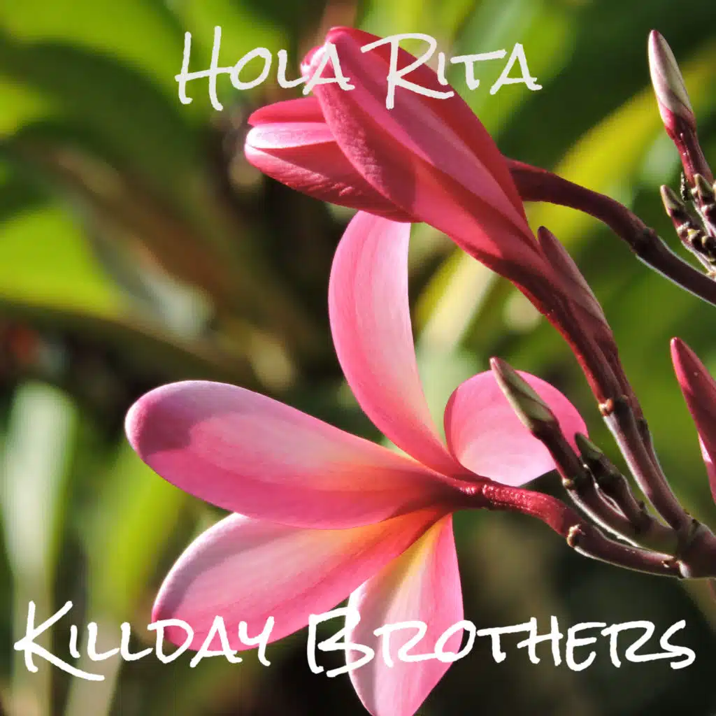 artist-header-image