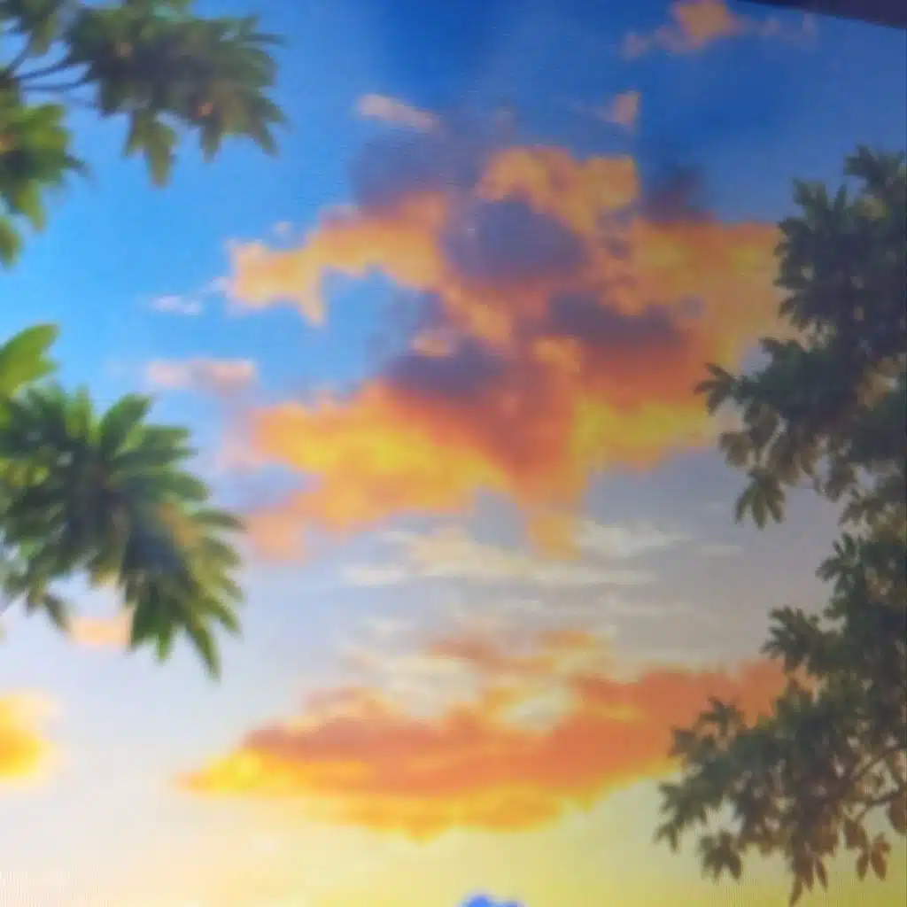 artist-header-image