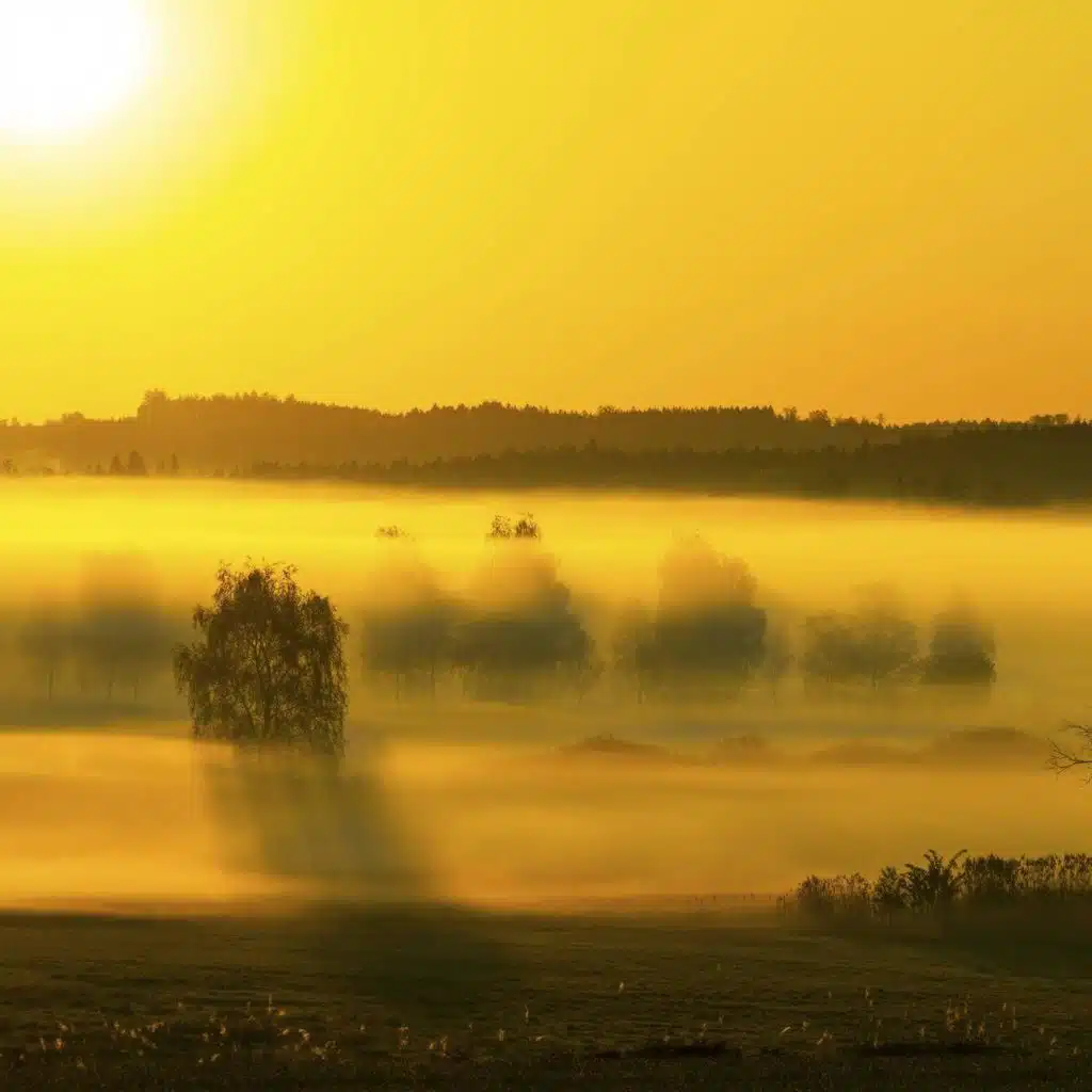 episode-header-image