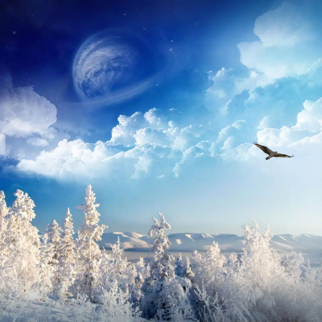 header-image