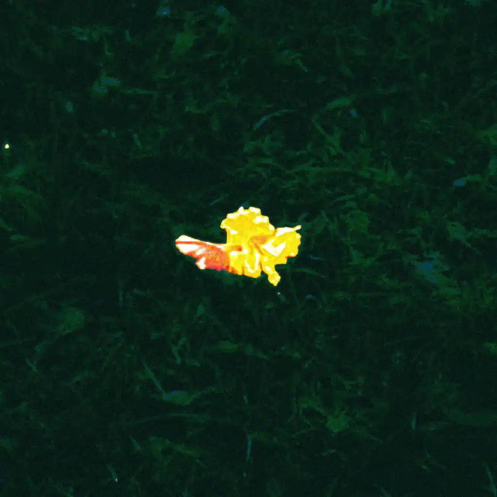 artist-header-image