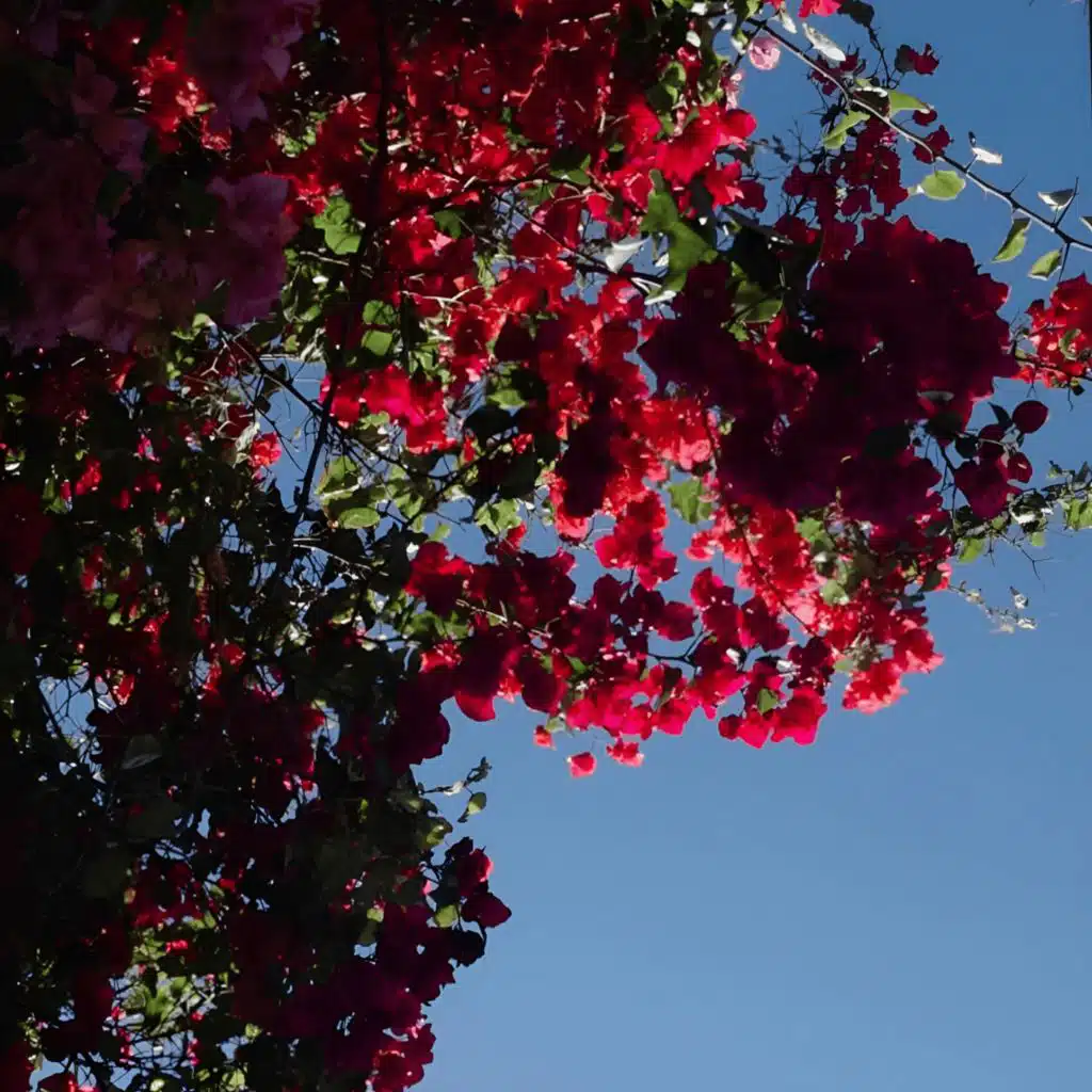 artist-header-image