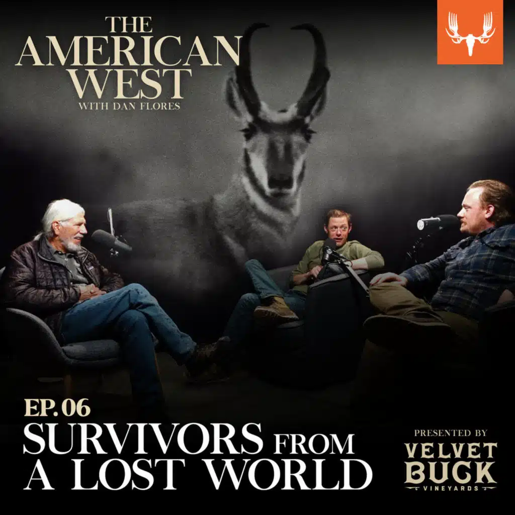 episode-header-image