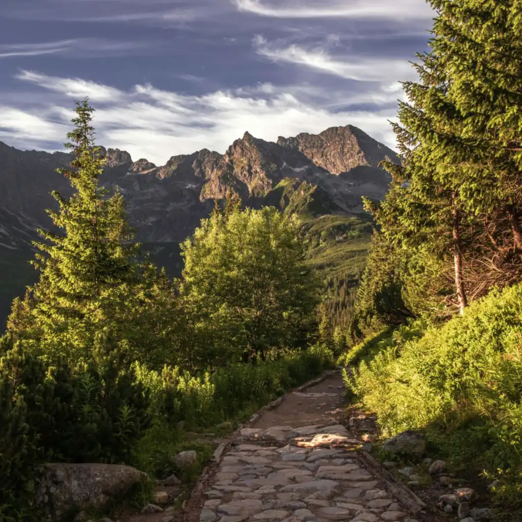 artist-header-image