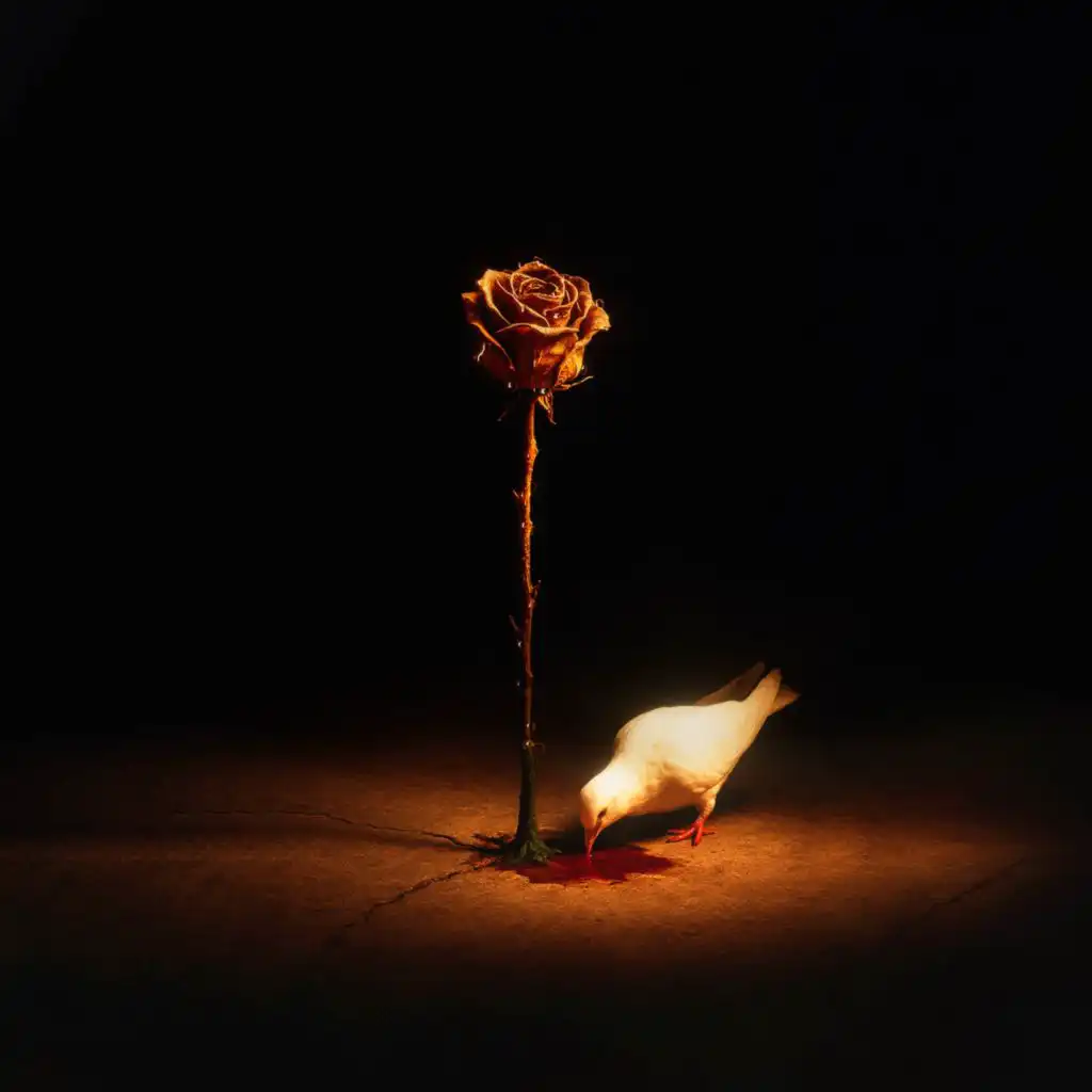 artist-header-image
