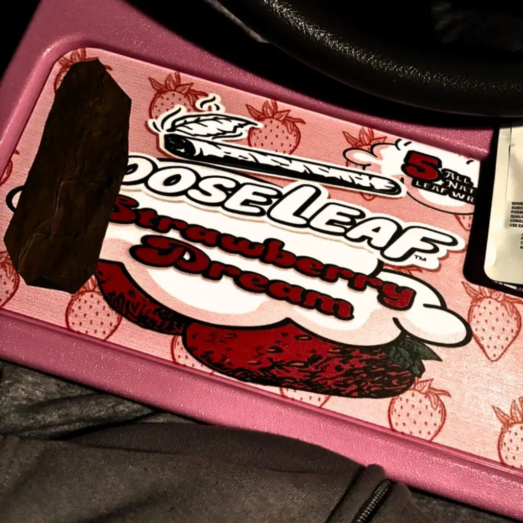 artist-header-image