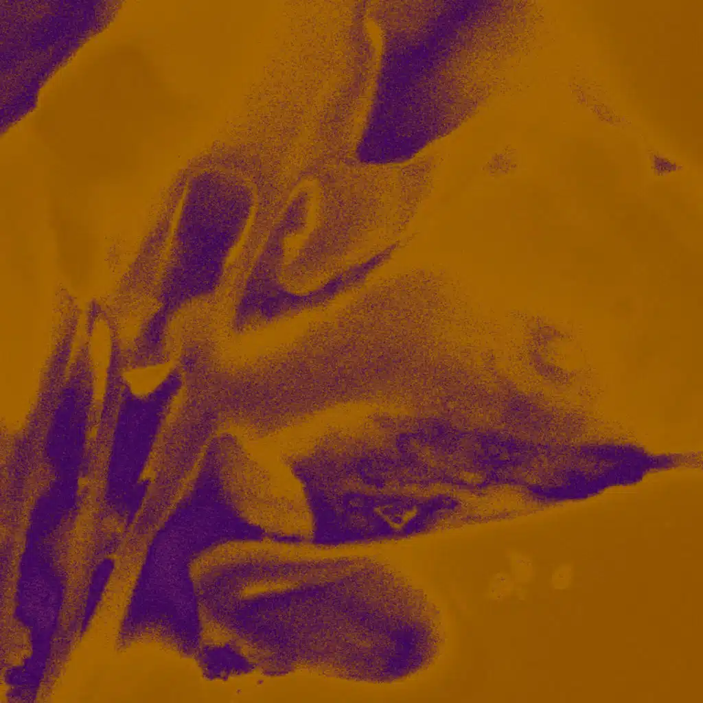 artist-header-image