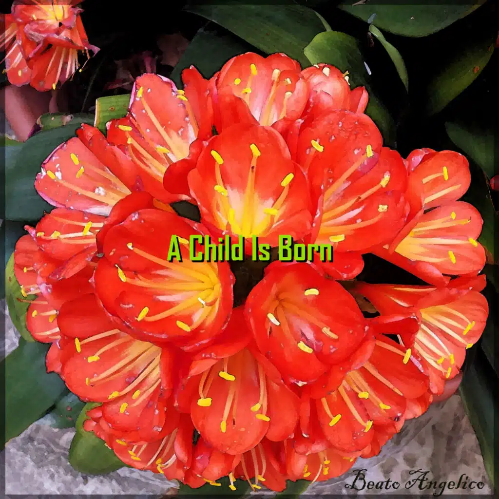 artist-header-image
