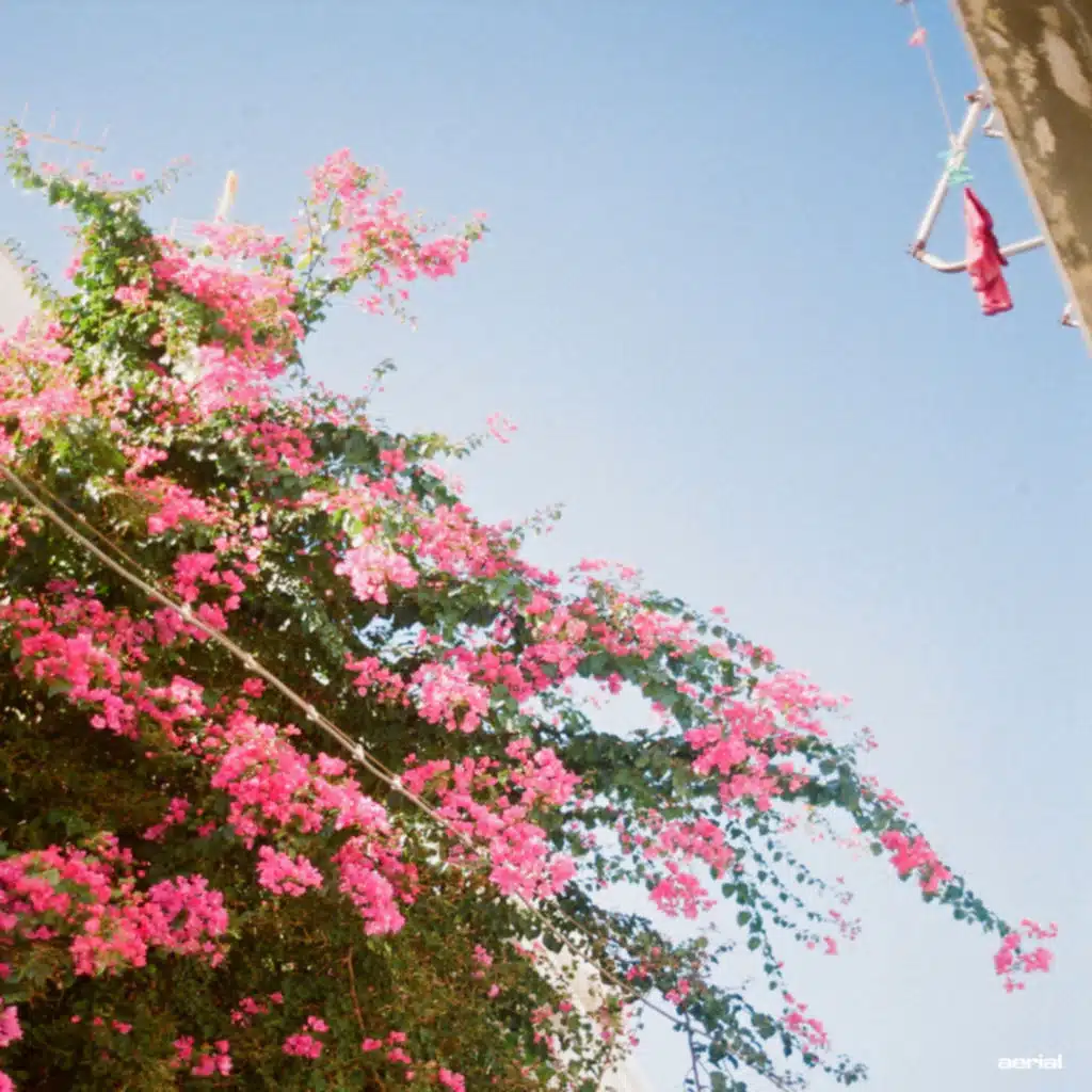 artist-header-image