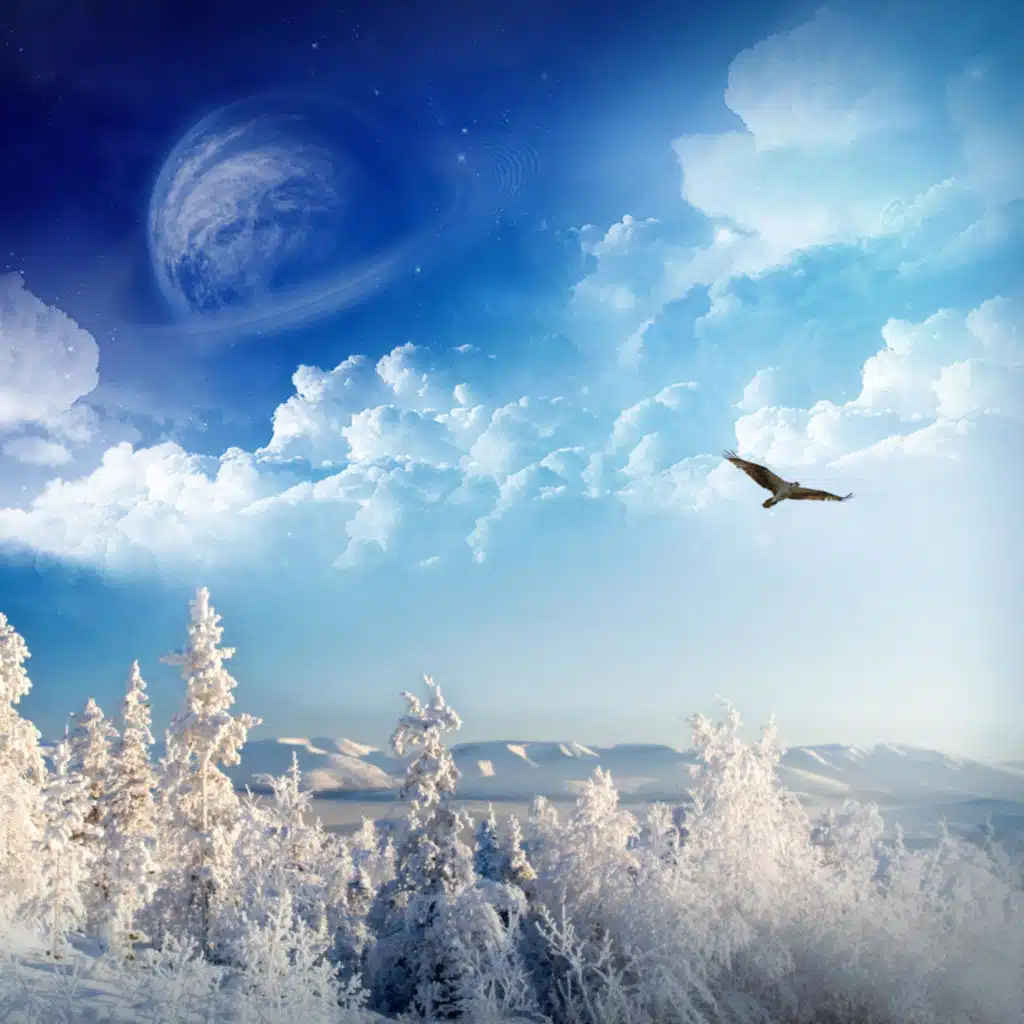 header-image