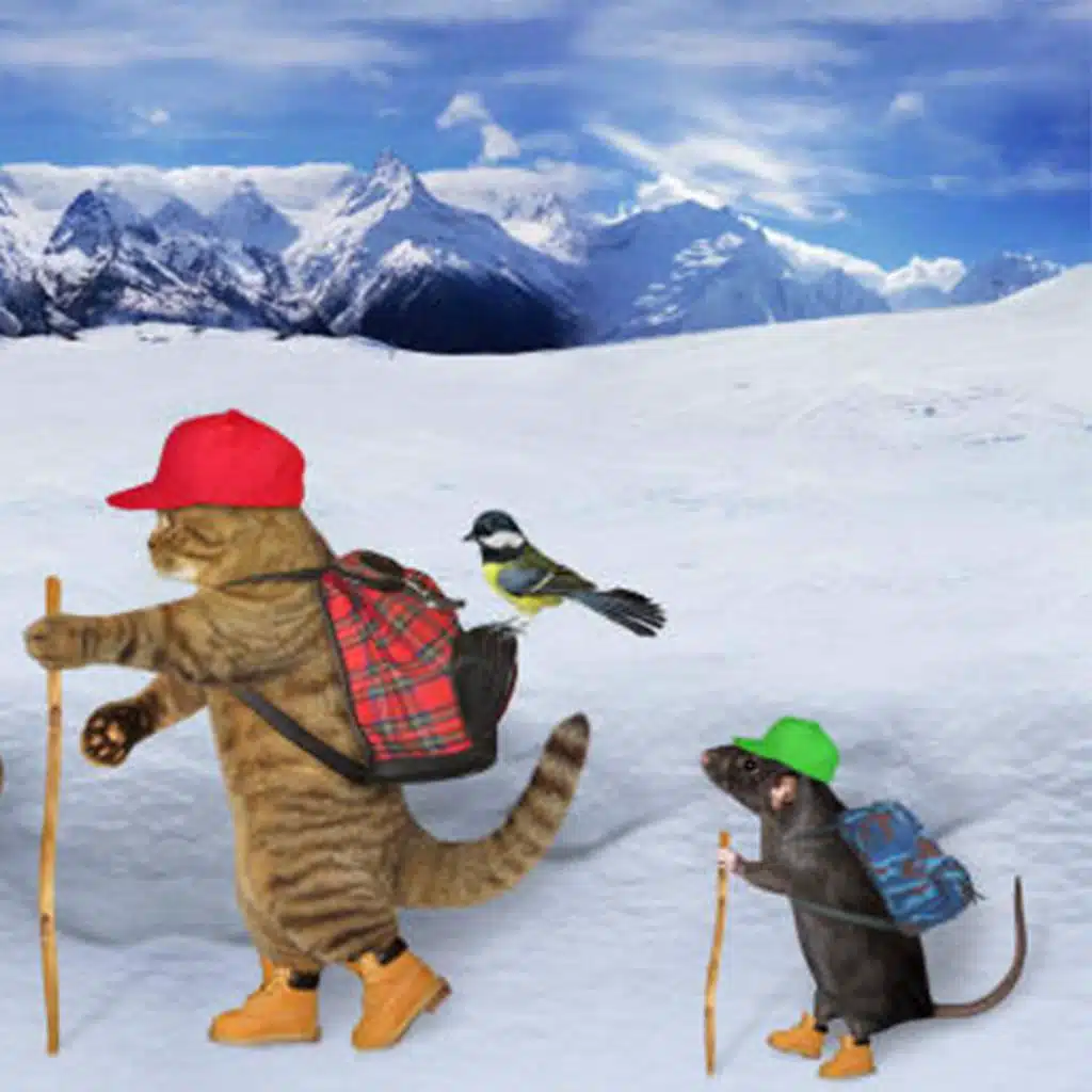 header-image