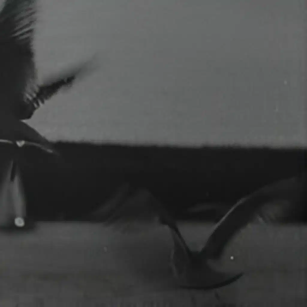 artist-header-image