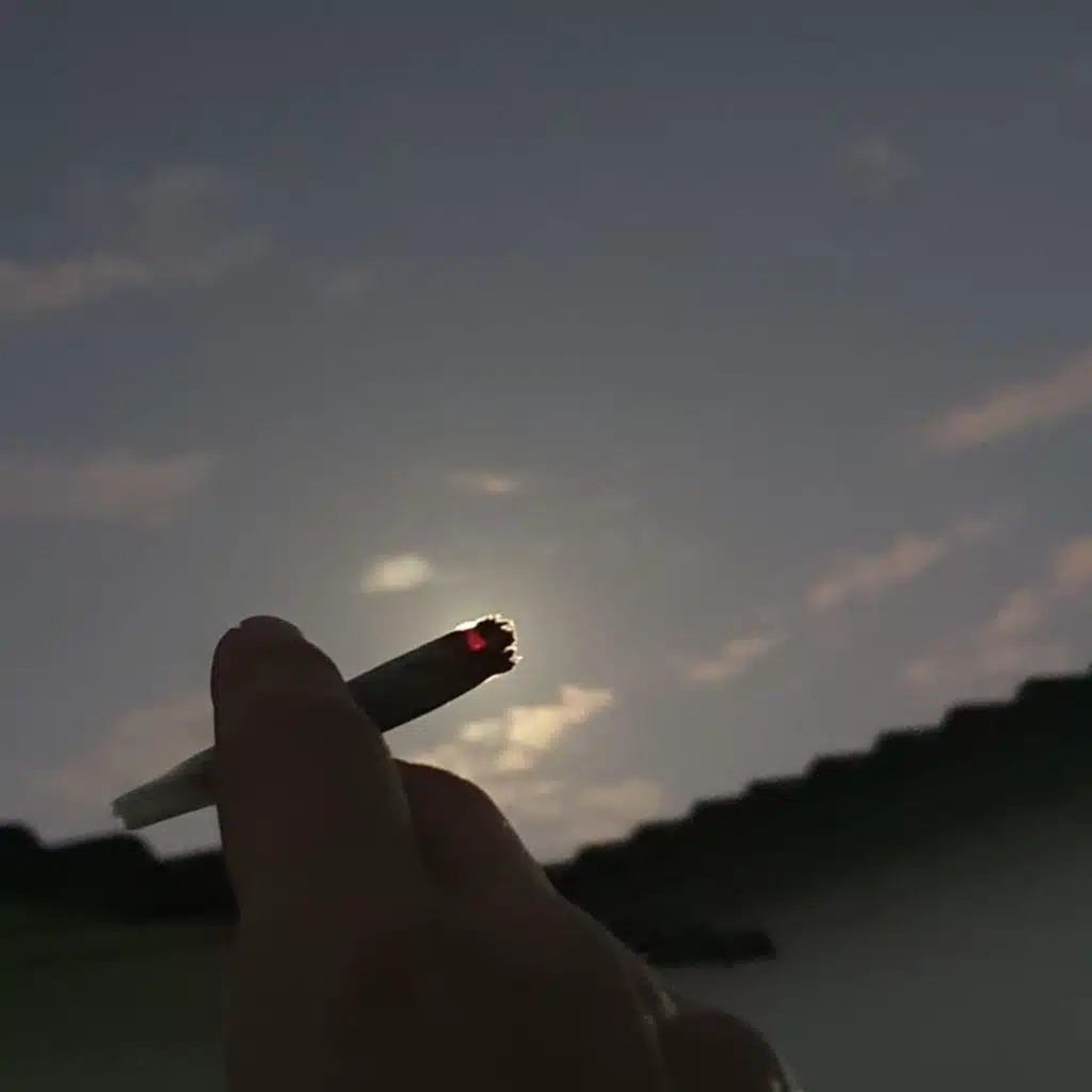 artist-header-image