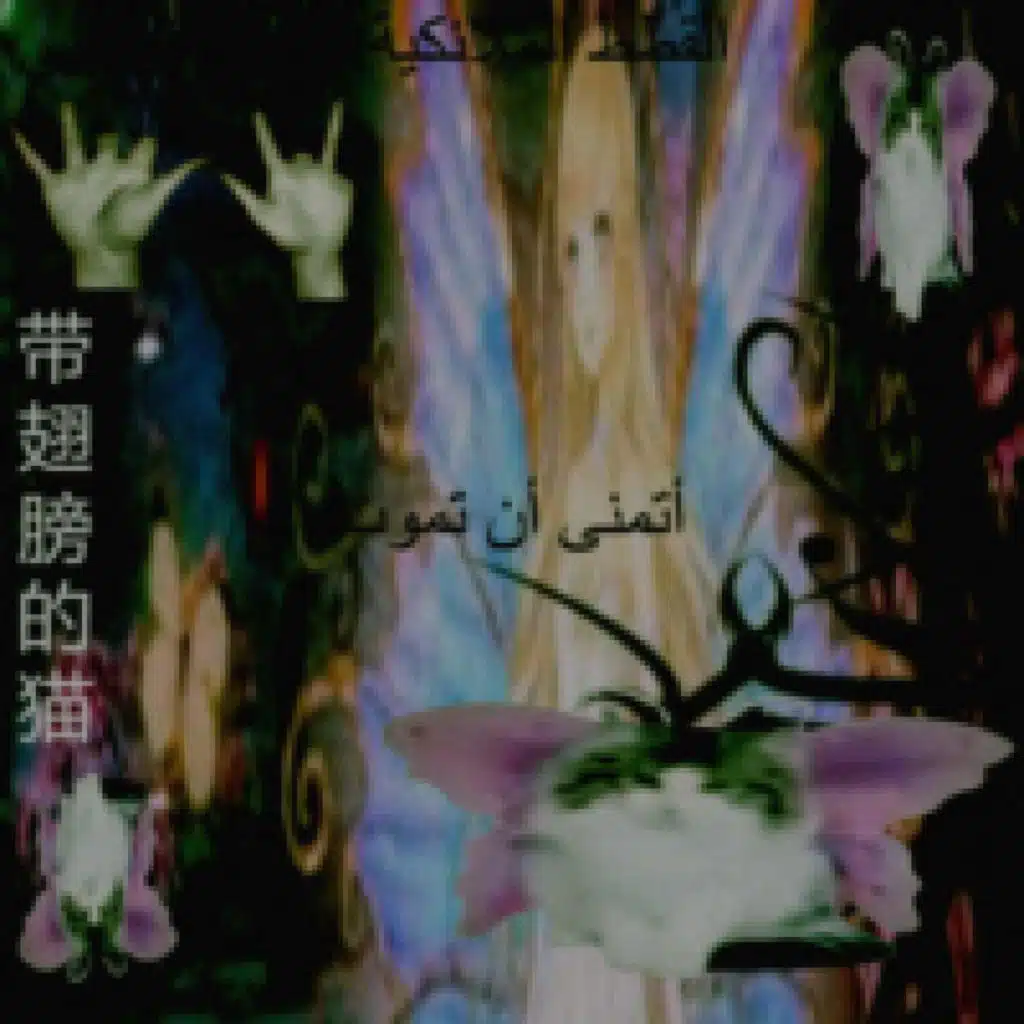artist-header-image