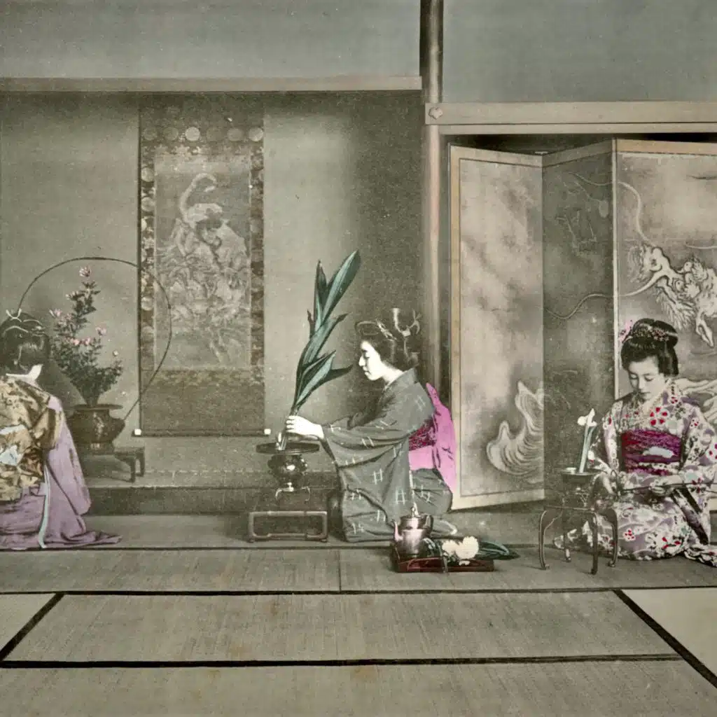 header-image
