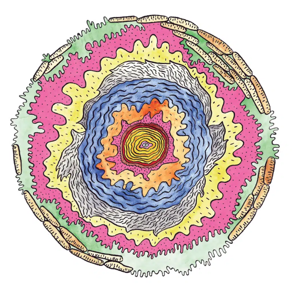 header-image