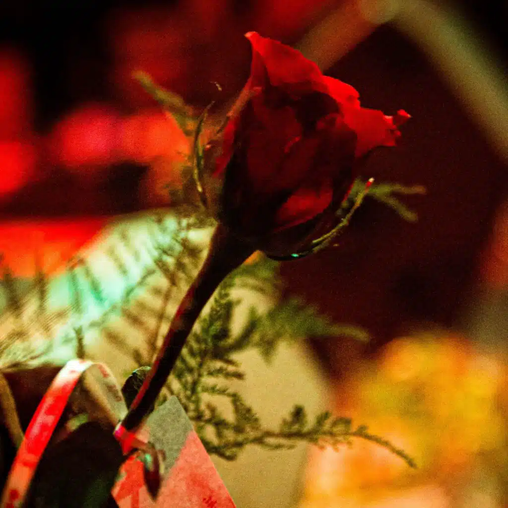 artist-header-image
