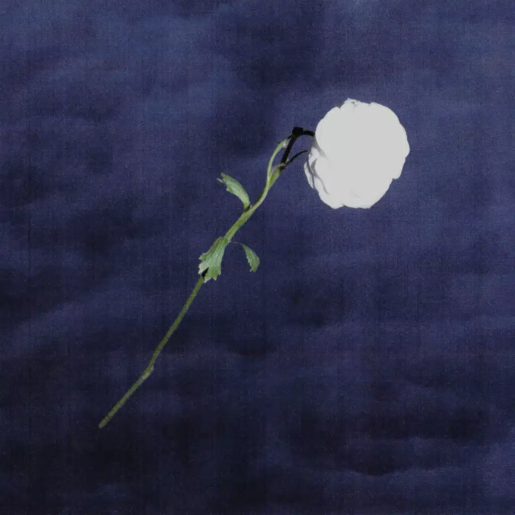artist-header-image