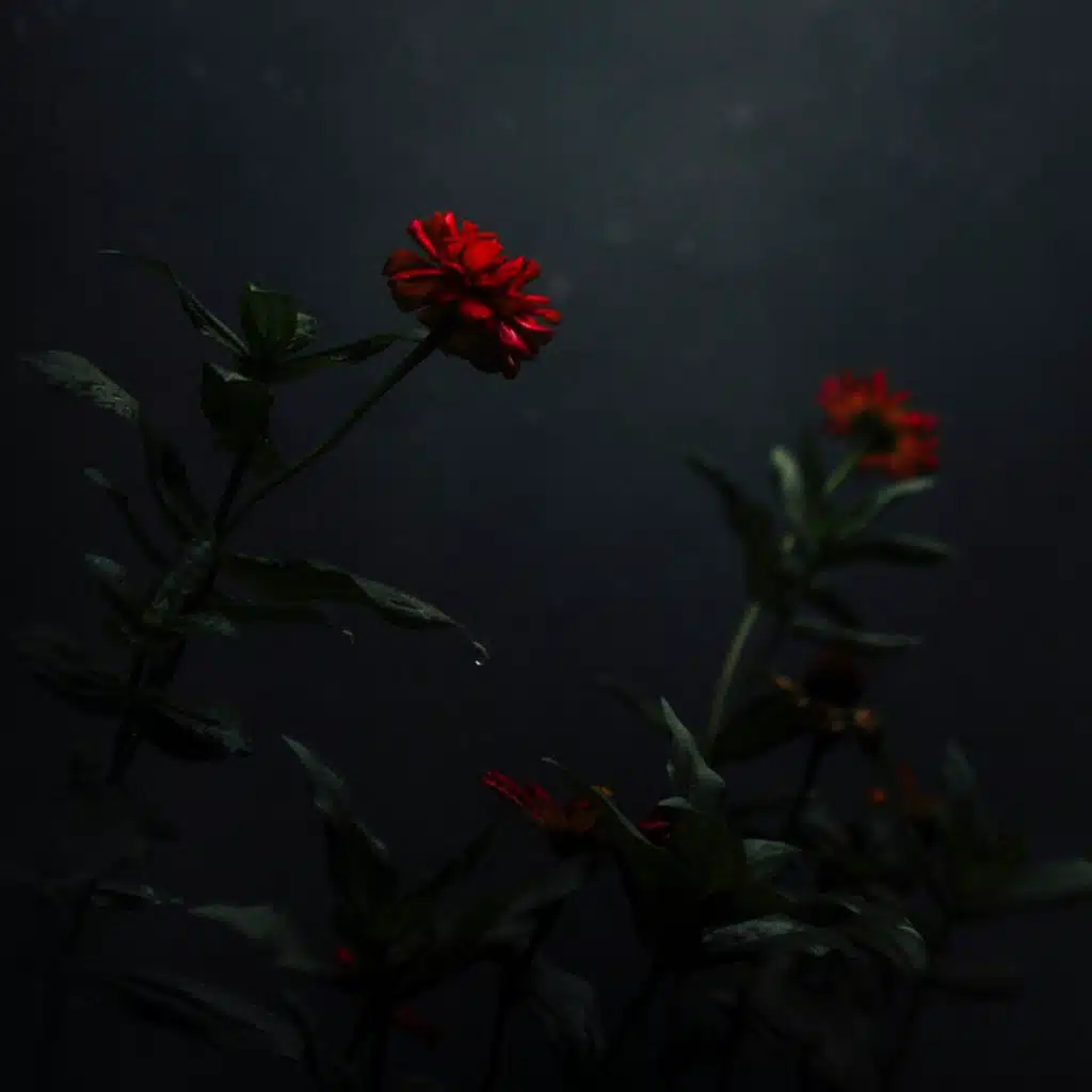 artist-header-image