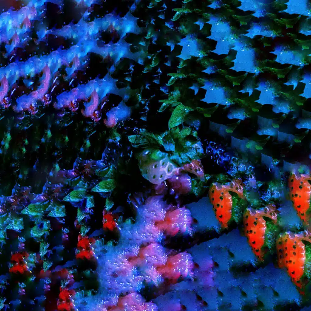 artist-header-image