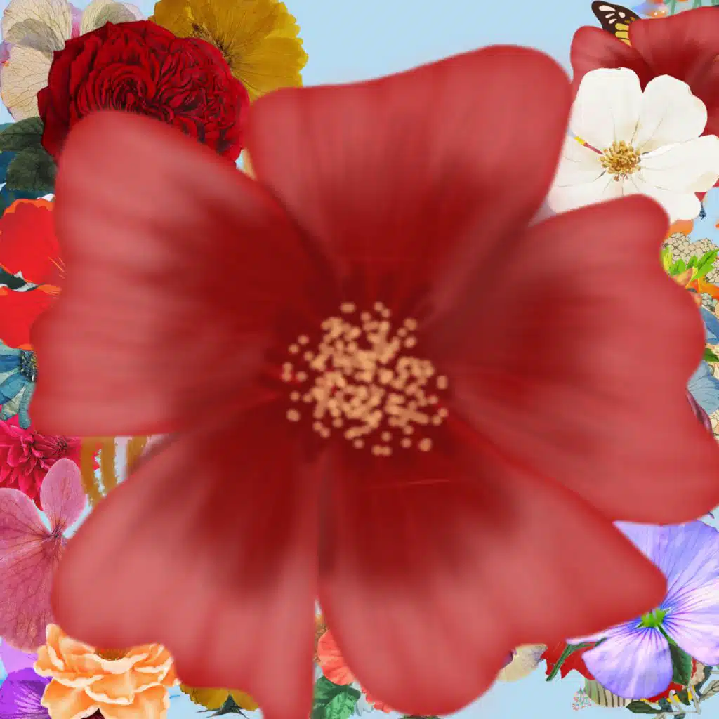 header-image