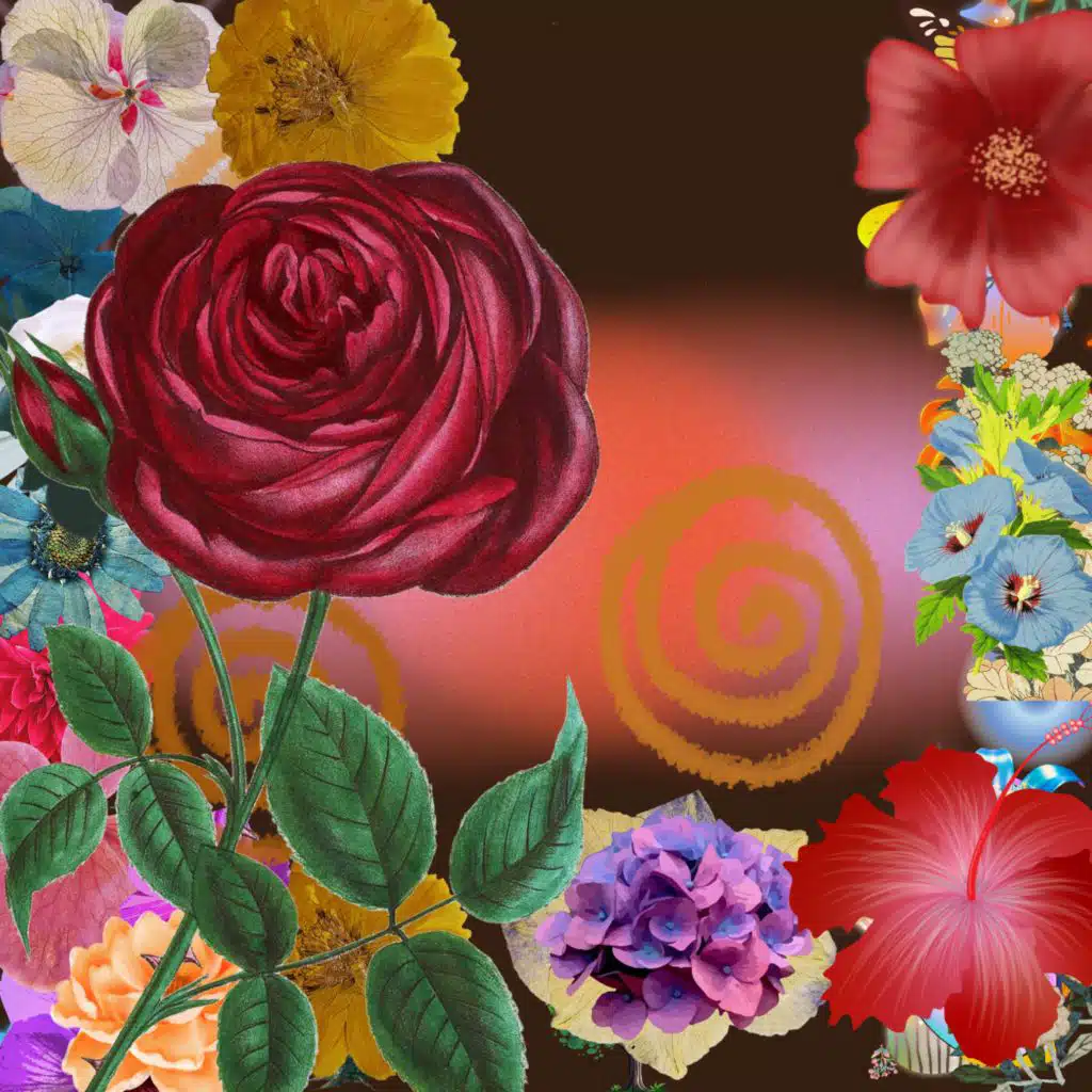 header-image