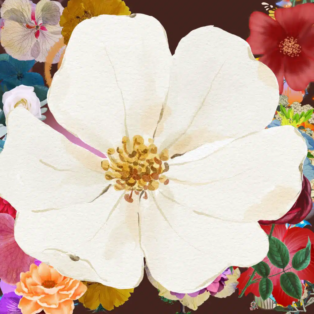 header-image