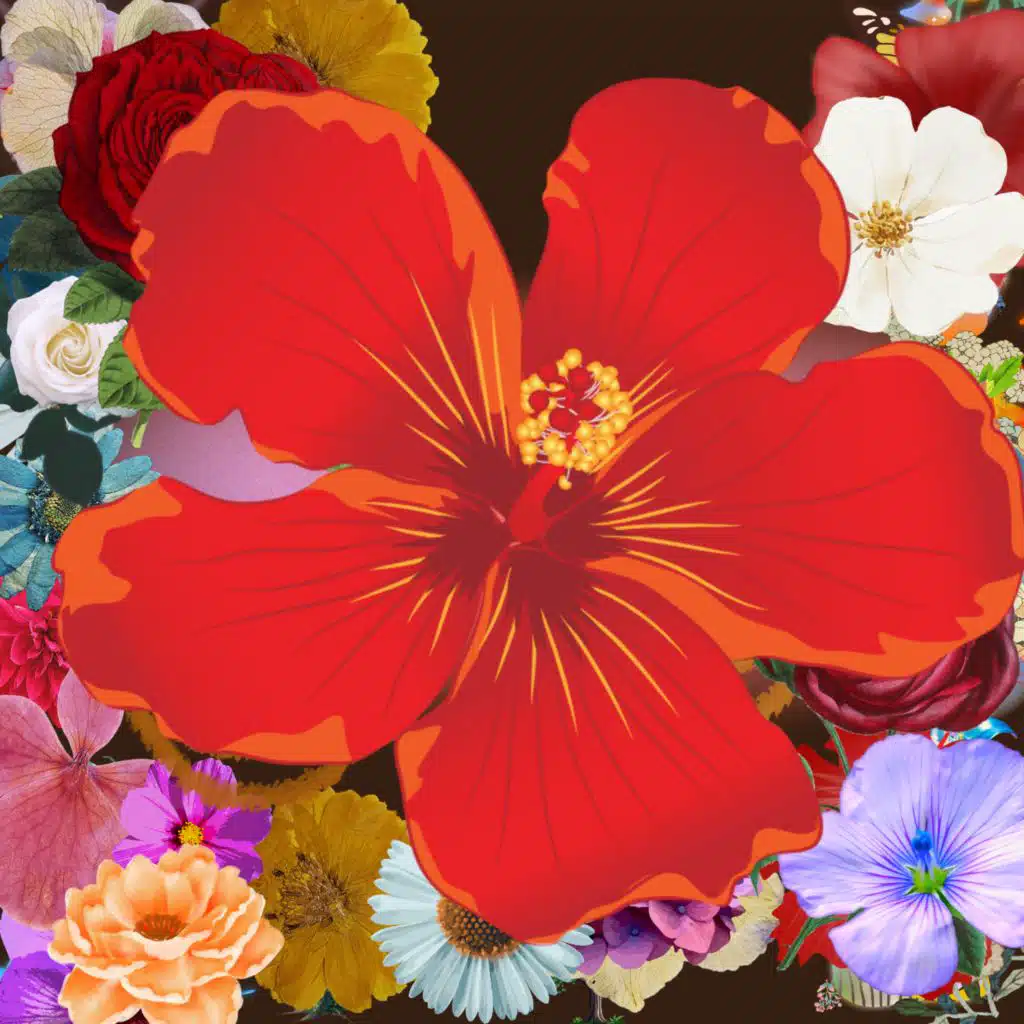 header-image