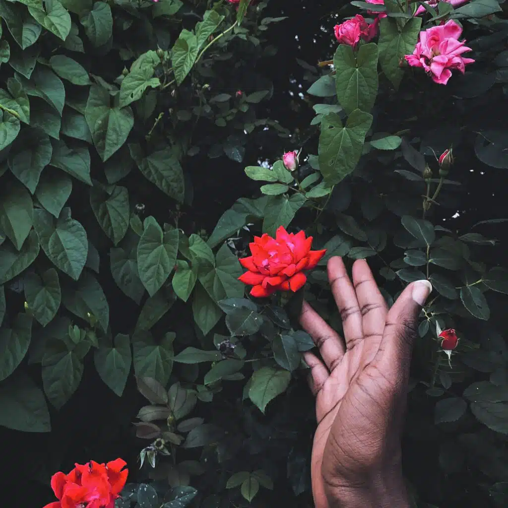 artist-header-image
