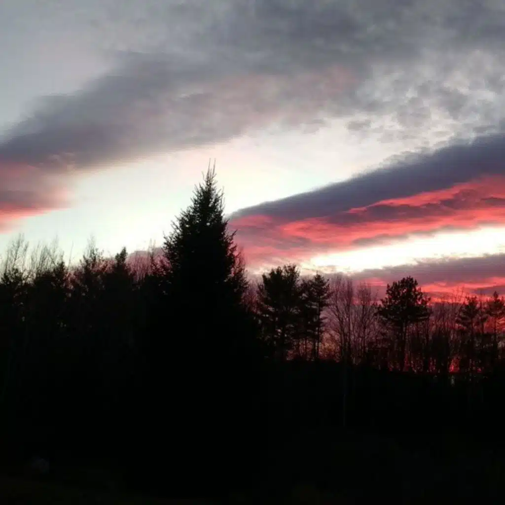header-image