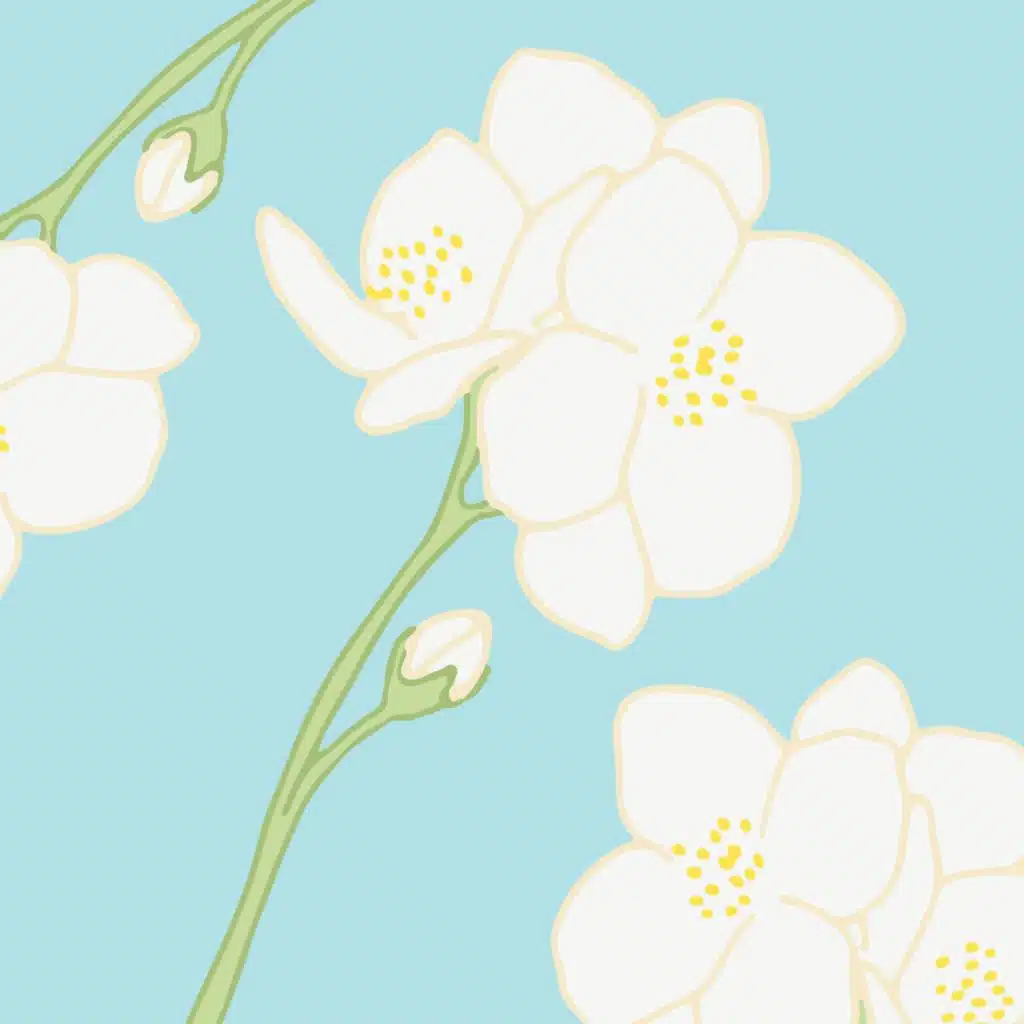 artist-header-image