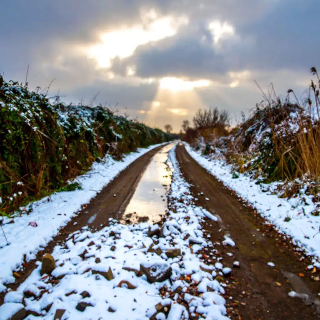 header-image