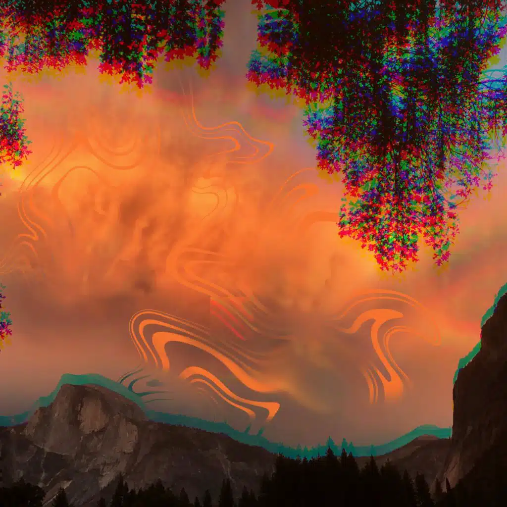 artist-header-image