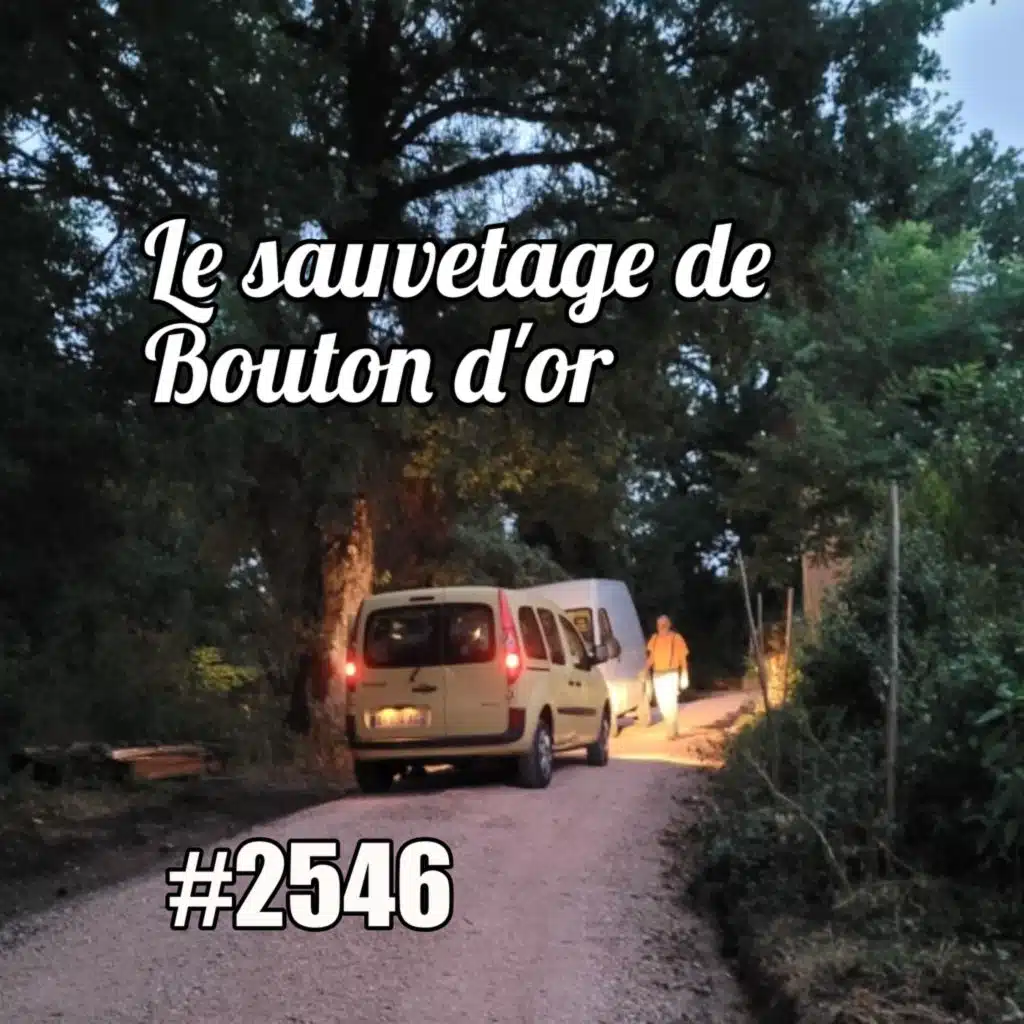 episode-header-image