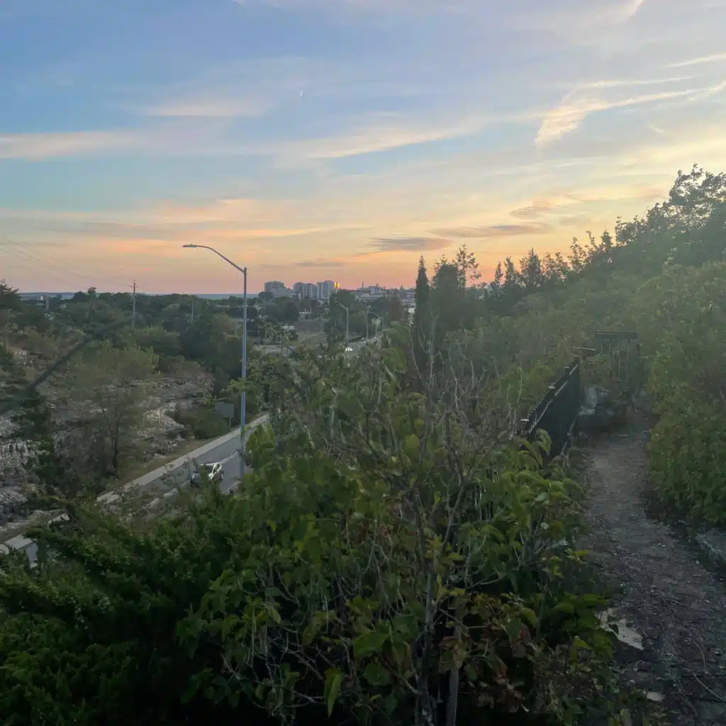 artist-header-image