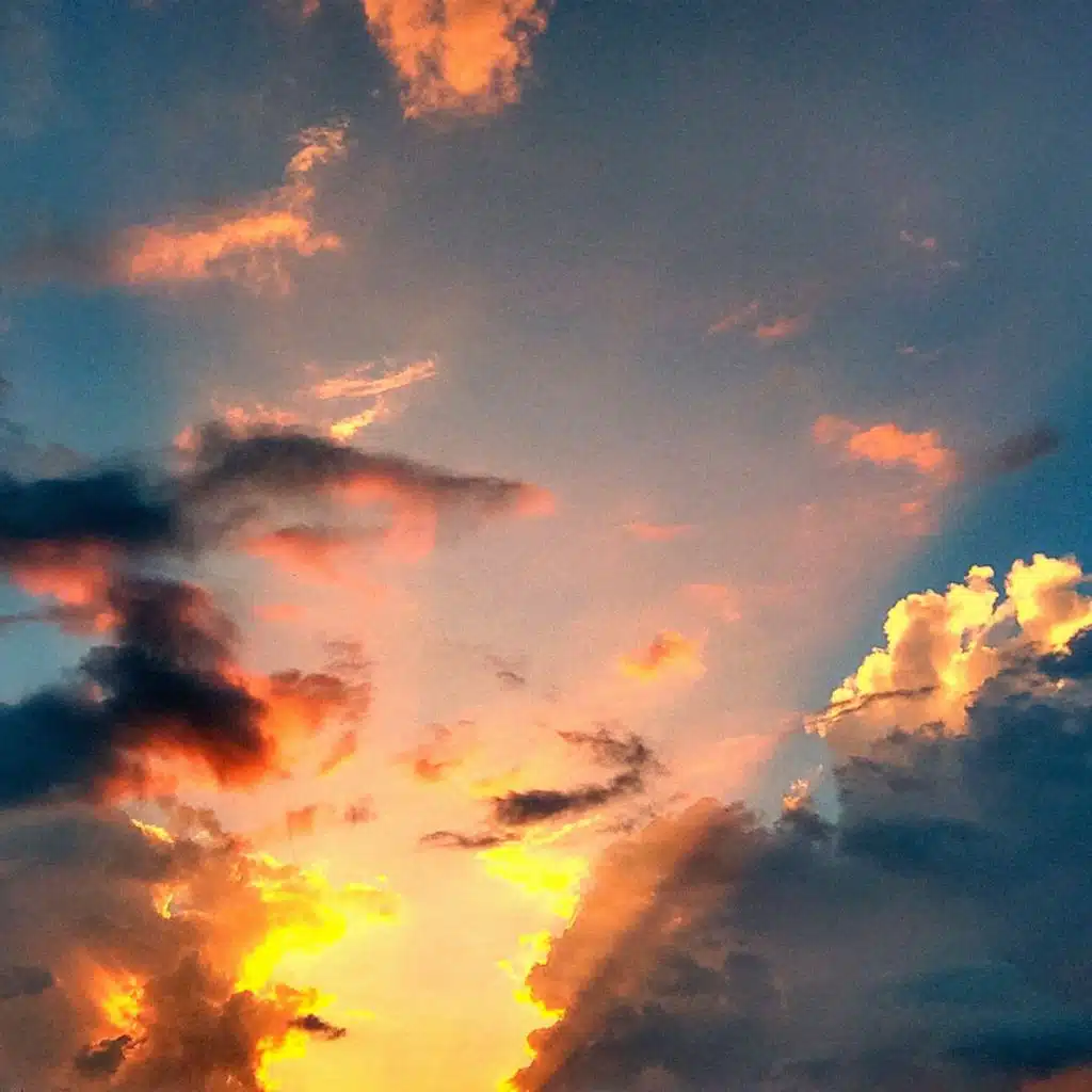 artist-header-image