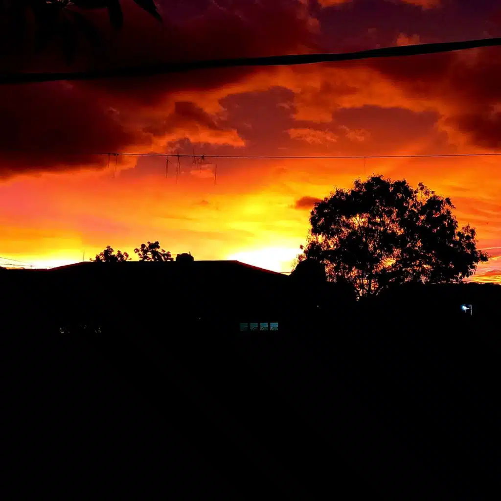 header-image