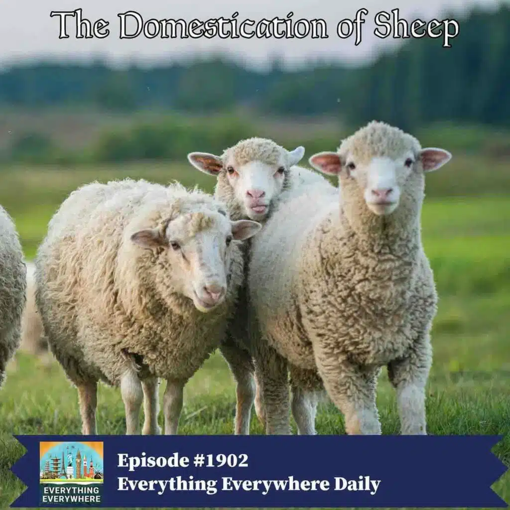 episode-header-image