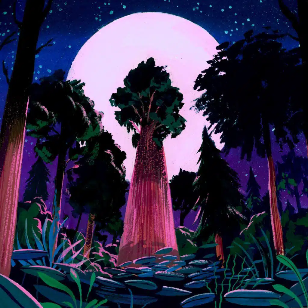 episode-header-image