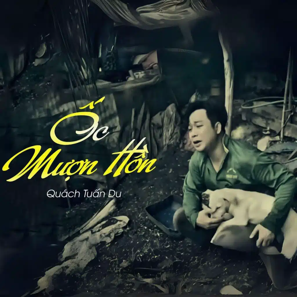 artist-header-image