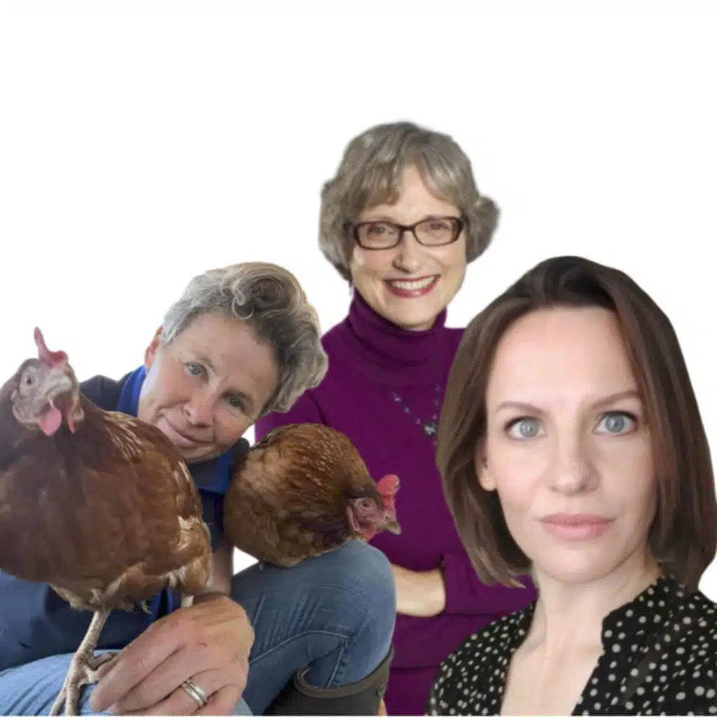 episode-header-image